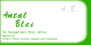 antal blei business card